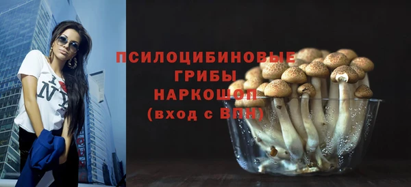 гашик Красноперекопск