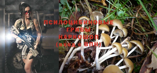 наркотики Краснослободск