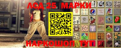 шишки Камышлов