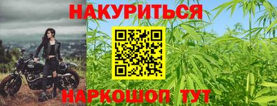 шишки Камышлов