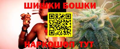 шишки Камышлов