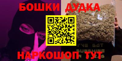 шишки Камышлов