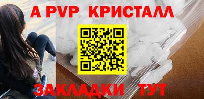 шишки Камышлов