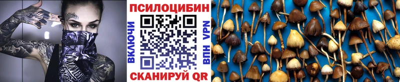 Галлюциногенные грибы MAGIC MUSHROOMS  закладка  Мценск 