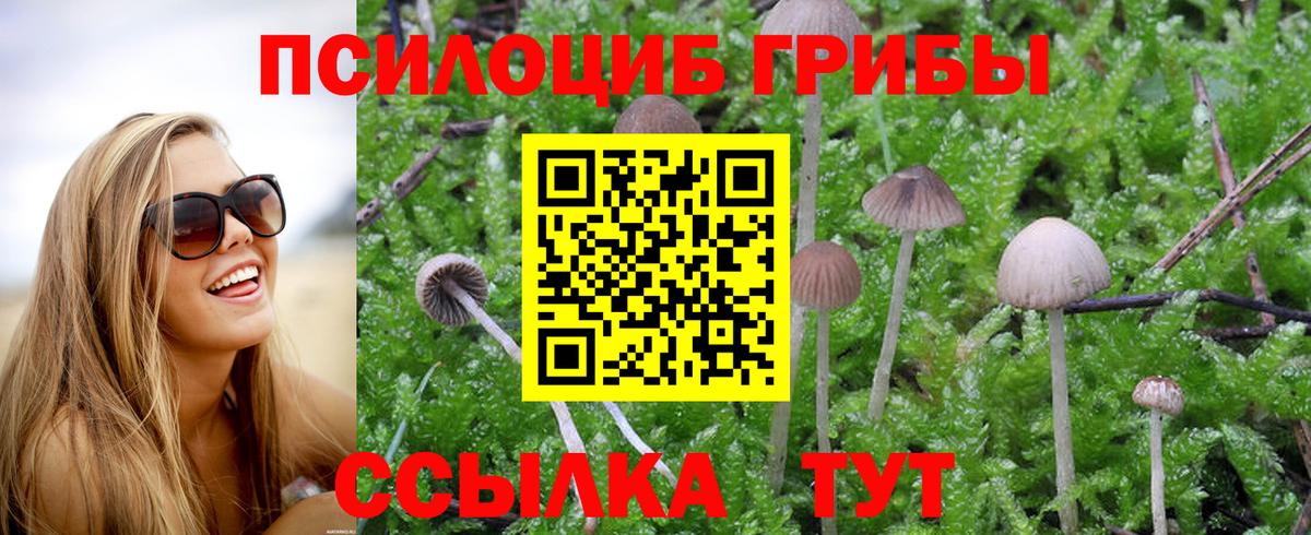 Галлюциногенные грибы GOLDEN TEACHER Мценск