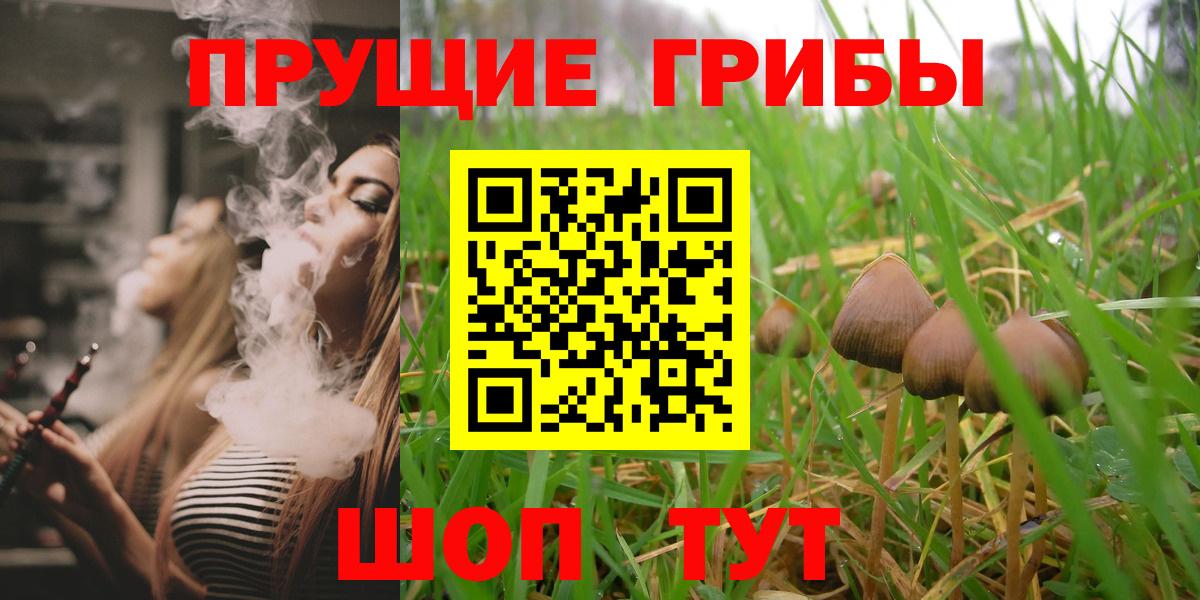 Мценск  Псилоцибиновые грибы Magic Shrooms  Псилоцибиновые грибы Psilocybine cubensis  Вход с VPN 