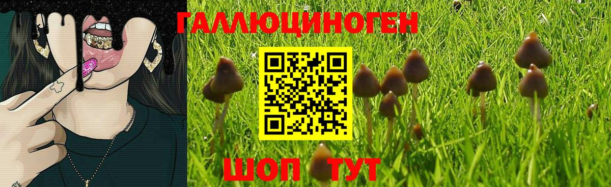 Псилоцибиновые грибы Magic Shrooms  где продают наркотики  Псилоцибиновые грибы MAGIC MUSHROOMS  Мценск 